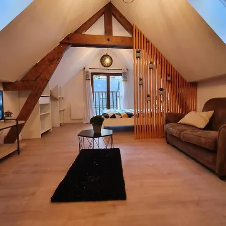 Charmant Studio Hyper Centre Lourdes Extérieur photo