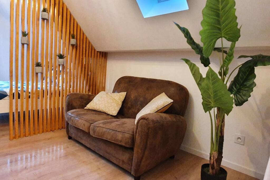 Hyper Centre Apartment